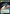 Subjugating Starfighter (382) (Hyperspace) (382) [Twilight of the Republic] - Fantasy Flight Games - Card Brawlers | Quebec | Canada |