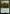 Gunner Conscript (Surge Foil) [Fallout] - Magic: The Gathering - Card Brawlers | Quebec | Canada |