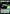 Executor - Might of the Empire (352) (Hyperspace) (352) [Jump to Lightspeed] - Fantasy Flight Games - Card Brawlers | Quebec | Canada |
