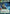 Seasoned Fleet Admiral (373) (Hyperspace) (373) [Jump to Lightspeed] - Fantasy Flight Games - Card Brawlers | Quebec | Canada |