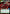 Eager Escort Fighter (374) (Hyperspace) (374) [Jump to Lightspeed] - Fantasy Flight Games - Card Brawlers | Quebec | Canada |