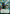 Homestead Militia (375) (Hyperspace) (375) [Jump to Lightspeed] - Fantasy Flight Games - Card Brawlers | Quebec | Canada |