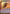 Fett's Firespray - Feared Silhouette (502) (Hyperspace) (502) [Jump to Lightspeed] - Fantasy Flight Games - Card Brawlers | Quebec | Canada |