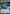 Seasoned Fleet Admiral (845) (Hyperspace Foil) (845) [Jump to Lightspeed] - Fantasy Flight Games - Card Brawlers | Quebec | Canada |