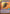 Fett's Firespray - Feared Silhouette (974) (Hyperspace Foil) (974) [Jump to Lightspeed] - Fantasy Flight Games - Card Brawlers | Quebec | Canada |