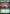 Village Tender (371) (Hyperspace) (371) [Legends of the Force] - Fantasy Flight Games - Card Brawlers | Quebec | Canada |
