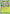Meganium (001/null) - Holofoil [ME Mega Evolution Promo]
