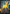 Enduring Vitality (Japan Showcase) [Duskmourn: House of Horror] - Magic: The Gathering - Card Brawlers | Quebec | Canada |
