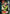 Action Point Card (AP01) (UE13BT/YYH-1-AP01) - UE13BT Yu Yu Hakusho Ghost Files