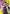 Action Point Card (AP01) (Koenma) (UEPR/YYH-AP01) - Union Arena Promotion Cards Foil