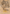 Ancient Gold Dragon Art Card (44) (Gold-Stamped Signature) [Commander Legends: Battle for Baldur's Gate Art Series] - Magic: The Gathering - Card Brawlers | Quebec | Canada |