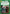 Ferrix Uprising (Foil) (30) [Secrets of Power: Weekly Play] - Fantasy Flight Games - Card Brawlers | Quebec | Canada |