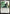 Suki, Kyoshi Captain [Avatar: The Last Airbender: Eternal-Legal] - Magic: The Gathering - Card Brawlers | Quebec | Canada |