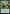Avatar Kyoshi, Earthbender (Extended Art) [Avatar: The Last Airbender: Eternal-Legal] - Magic: The Gathering - Card Brawlers | Quebec | Canada |