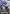 Gundam Barbatos Adapt (GD03-056) - Steel Requiem Holofoil
