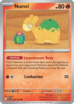 Numel (027/217) [ME Ascended Heroes] - ME: Ascended Heroes - Card Brawlers | Quebec | Canada |