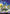 Teleportation Circle (Borderless) (PZA-002) - Teenage Mutant Ninja Turtles Eternal-Legal