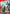 BP Counter (Sakamoto Days)  - Union Arena Promotion Cards