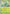 Serperior (064/null) - Holofoil [ME Mega Evolution Promo]