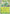 Serperior (064/null) - Holofoil [ME Mega Evolution Promo]