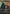 Smallpox (SOA-033) - Secrets of Strixhaven: Mystical Archive Foil