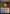 Luxury Suite [Commander Legends: Battle for Baldur's Gate Prerelease Promos] - Magic: The Gathering - Card Brawlers | Quebec | Canada |