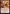 Flashback (PPSOS-115) - Promo Pack: Secrets of Strixhaven