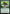 Wildgrowth Archaic (PPSOS-168) - Promo Pack: Secrets of Strixhaven