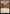 Great Hall of the Biblioplex (PPSOS-257) - Promo Pack: Secrets of Strixhaven