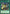 Mistaken Arrest (BLGG-EN114) Ultra Rare