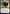 Nick Fury, Spymaster (MSC-603) - Commander: Marvel Super Heroes