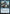 Vision, Spectral Synthezoid (MSC-644) - Commander: Marvel Super Heroes Foil