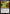 Radioactive Man (MSC-665) - Commander: Marvel Super Heroes