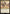 Thriving Bluff (MSC-578) - Commander: Marvel Super Heroes Foil