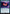 Recurring Insight (Surge Foil) (MSC-154) - Commander: Marvel Super Heroes Foil