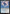 Katara, Seeking Revenge [Avatar: The Last Airbender: Eternal-Legal] - Magic: The Gathering - Card Brawlers | Quebec | Canada |