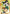 Action Point Card (AP02) (UE23BT/IYS-1-AP02) - UE23BT Inuyasha