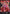 DON!! Card (Heroines Special Set) - Extra Booster: One Piece Heroines Edition Foil