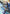The Grand Plaza (Oversized) (293a/298) - Riftbound Worlds Bundle 2025 Foil