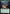 Captain Pike, Fullness of Time (Extended Art) (TRK-468) - Star Trek Foil