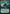 U.S.S. Discovery, at Black Alert (Extended Art) (TRK-474) - Star Trek