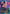 Lieutenant Commander Data (Borderless) (TRK-359) - Star Trek Foil