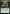 The Art of Tea [Avatar: The Last Airbender: Eternal-Legal] - Magic: The Gathering - Card Brawlers | Quebec | Canada |