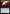 Diresight [Avatar: The Last Airbender: Eternal-Legal] - Magic: The Gathering - Card Brawlers | Quebec | Canada |