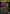 The Jolly Balloon Man (Showcase) [Duskmourn: House of Horror] - Magic: The Gathering - Card Brawlers | Quebec | Canada |