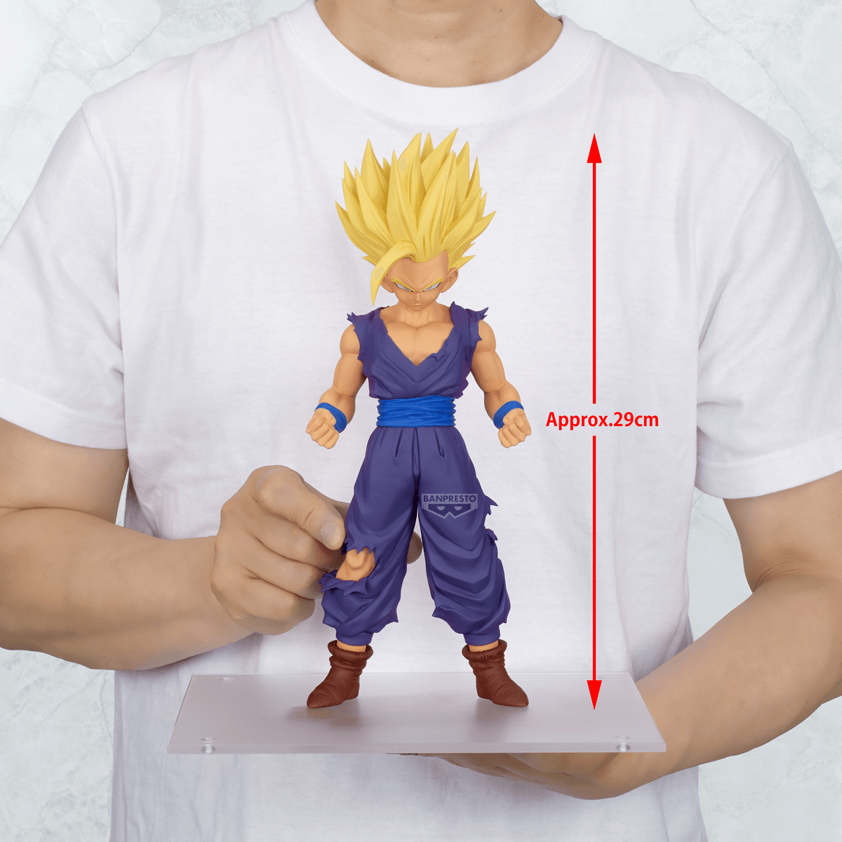 BANDAI - Dragon Ball Z - Son Gohan - (PREORDER) June 18, 2027