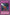 Magical Explosion [DR04-EN055] Common - Yu-Gi-Oh! - Card Brawlers | Quebec | Canada |