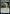 Currency Converter (Promo Pack) [Streets of New Capenna Commander Promos] - Magic: The Gathering - Card Brawlers | Quebec | Canada |