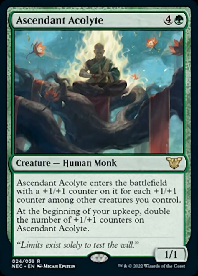 Ascendant Acolyte [Kamigawa: Neon Dynasty Commander] - Magic: The Gathering - Card Brawlers | Quebec | Canada |