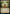 Growing Rites of Itlimoc // Itlimoc, Cradle of the Sun [Judge Gift Cards 2022] - Magic: The Gathering - Card Brawlers | Quebec | Canada |